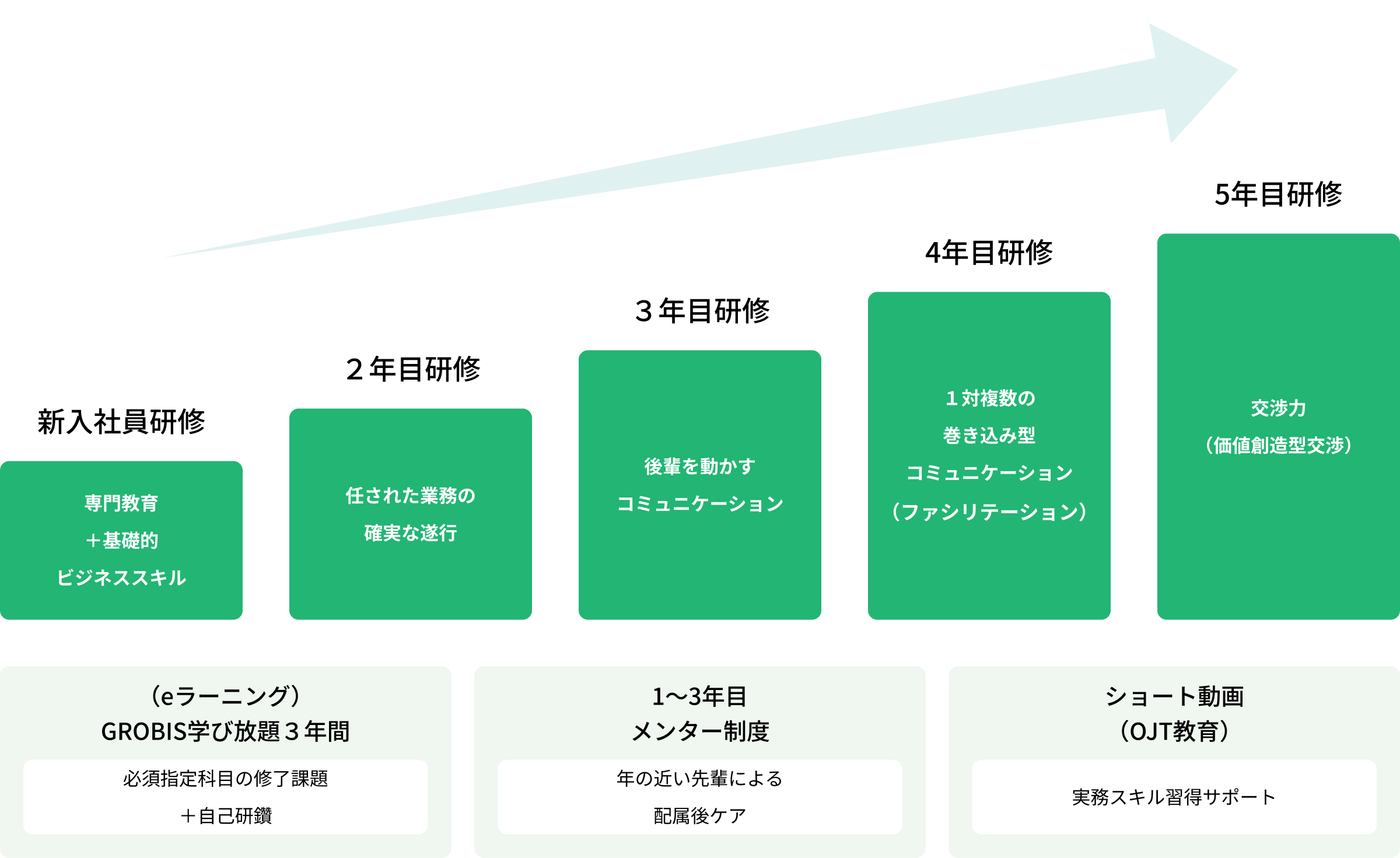 1年目～5年目の研修制度